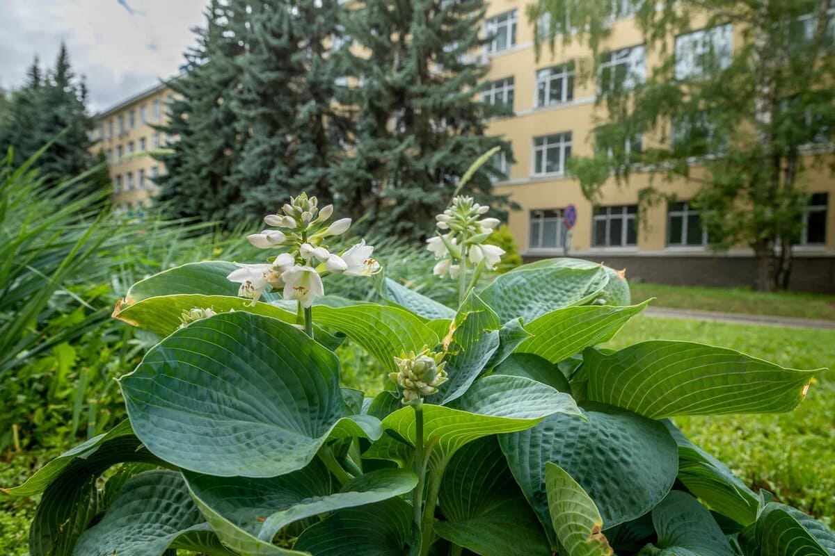 v nngu otkryt priyom zayavok v programmu studturizm v dvizhenii